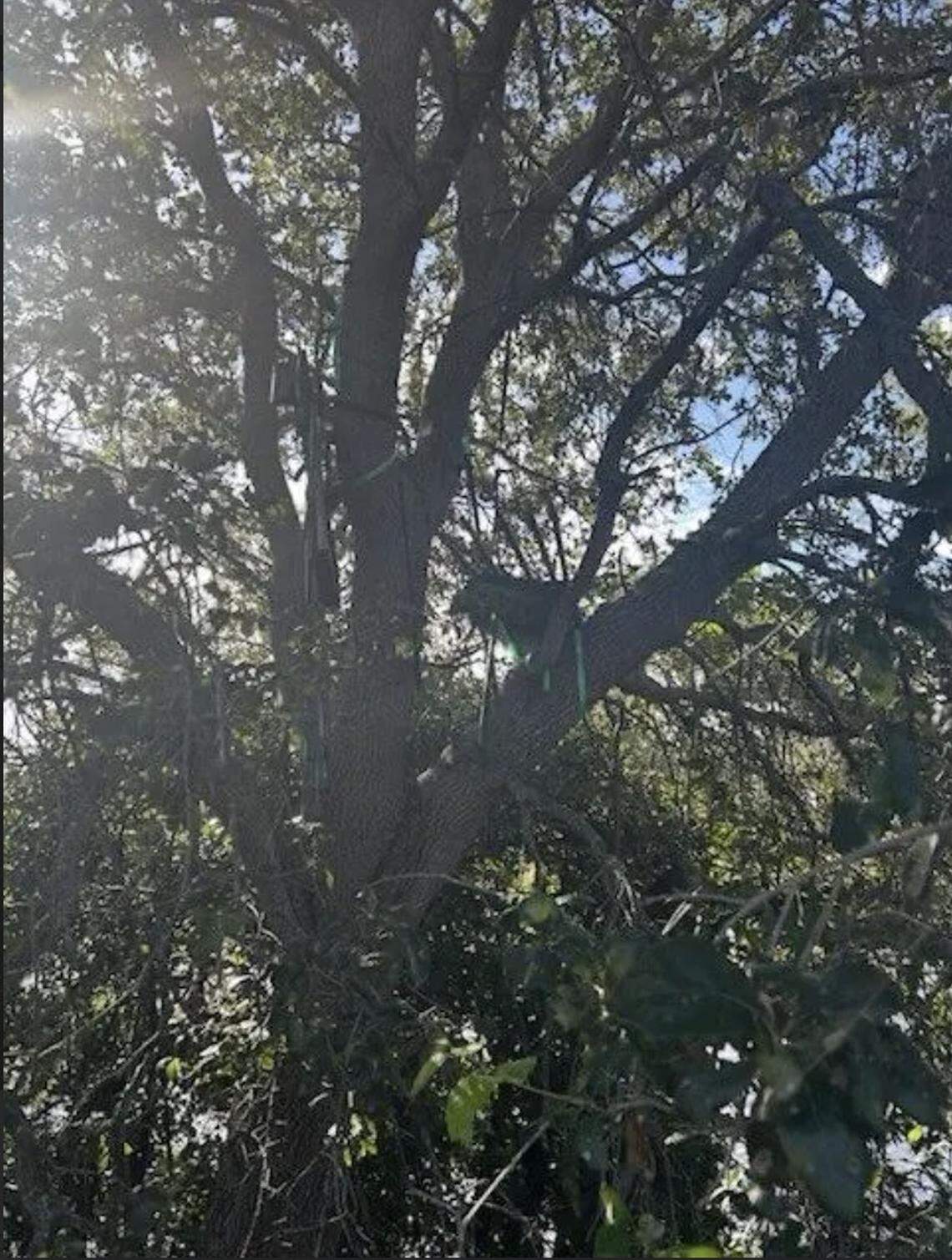 A “suspicious stand” was found near a part of Palm Beach International Airport frequented by President Donald Trump.