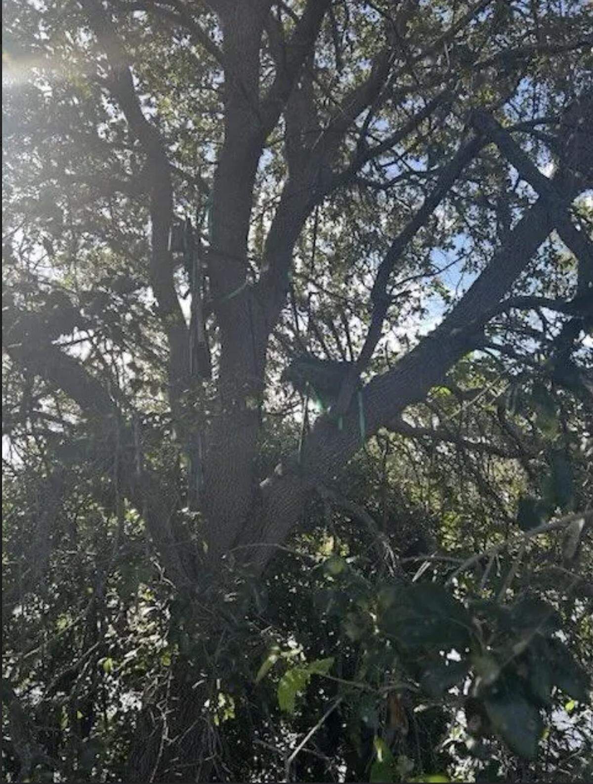 A “suspicious stand” was found near a part of Palm Beach International Airport frequented by President Donald Trump.