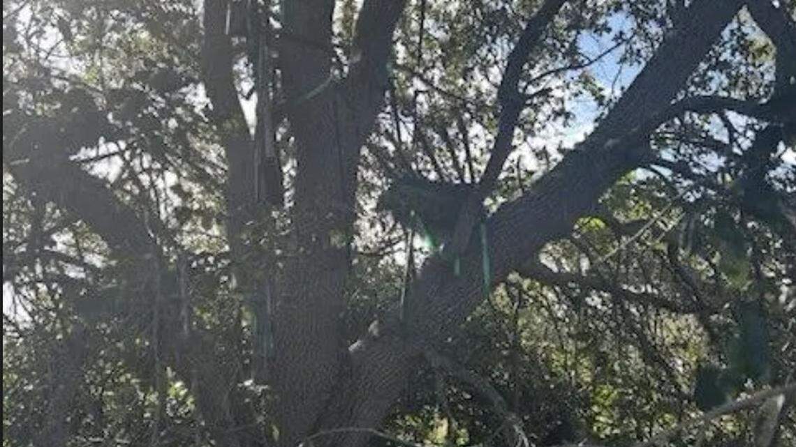 The Secret Service found a ‘suspicious stand’ near a part of Palm Beach International Airport frequented by President Donald Trump, the FBI said Monday, Oct. 20, 2025.