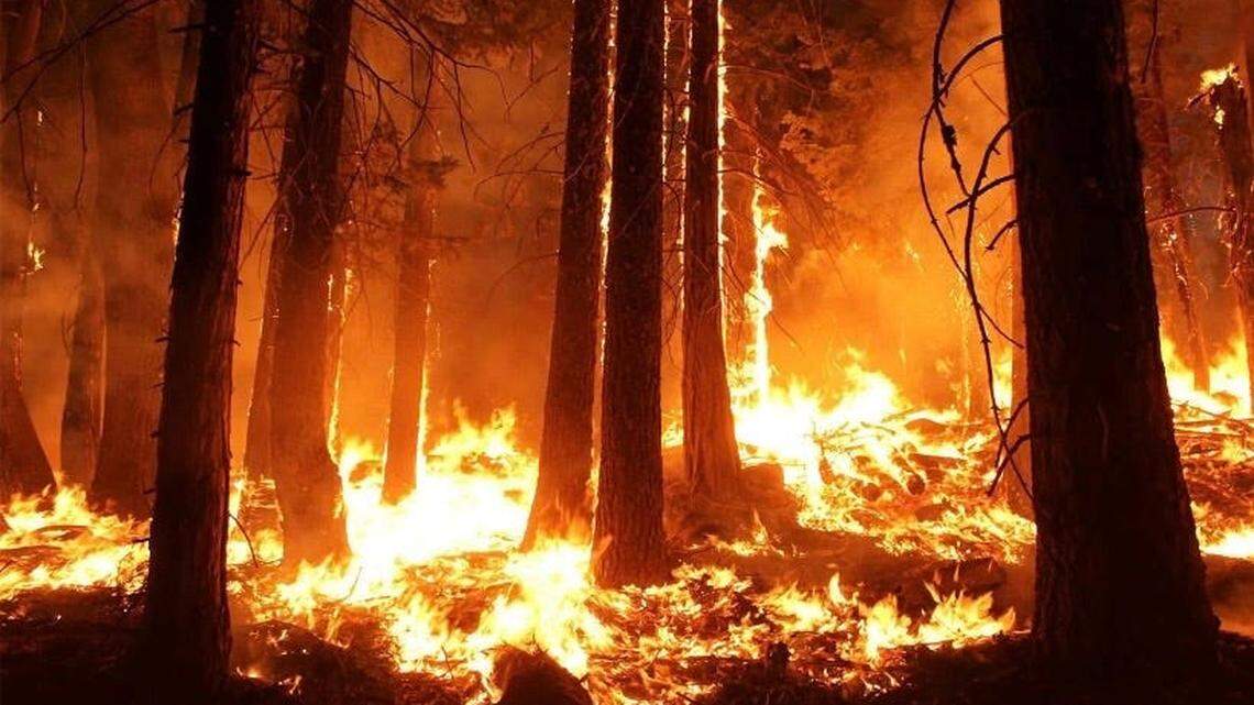 georgia wildfire brantley county fire