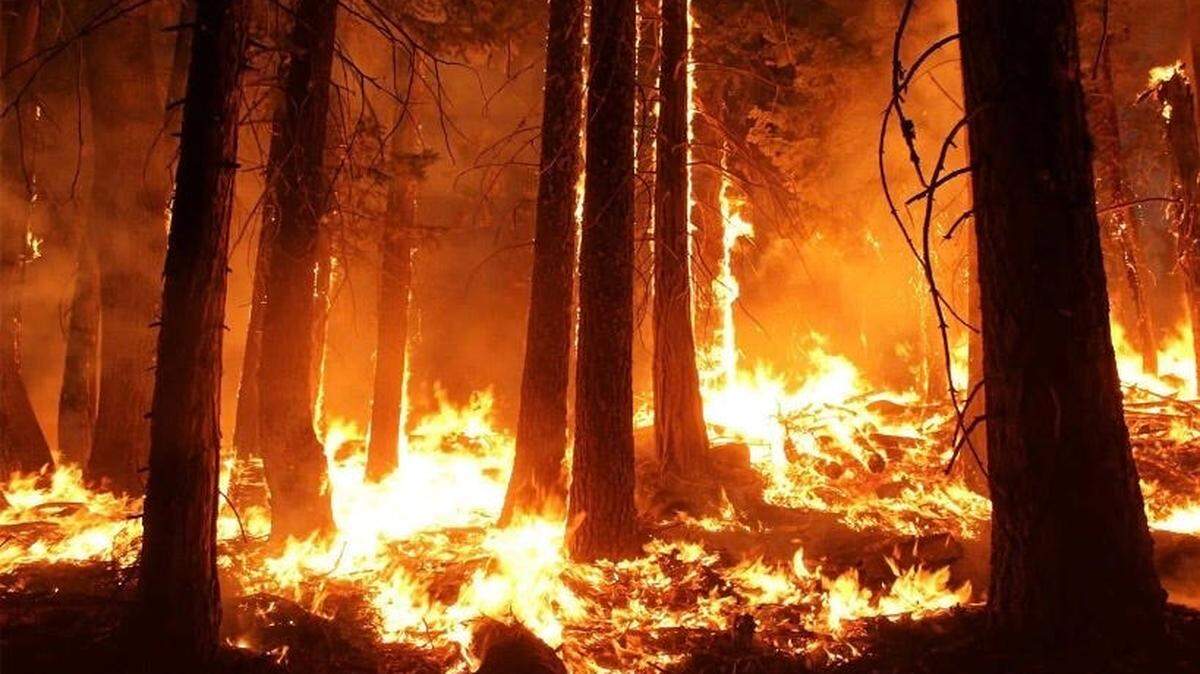 georgia wildfire brantley county fire