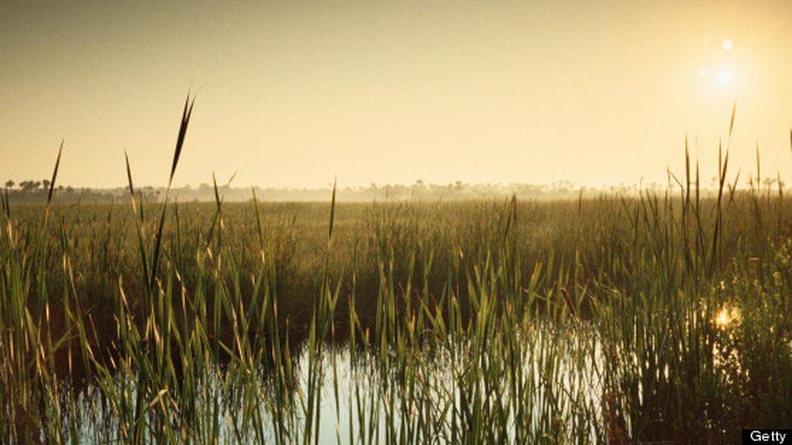 State and federal government’s partnership to restore the Everglades began in 2000.