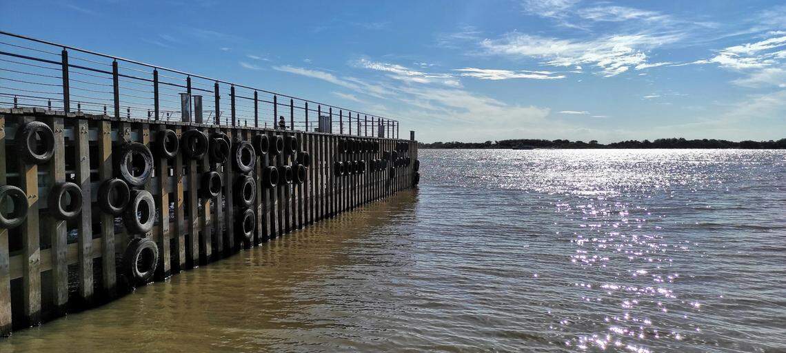 Where a muddy river meets the Atlantic Ocean in Brazil, a new species hides in the sediment.