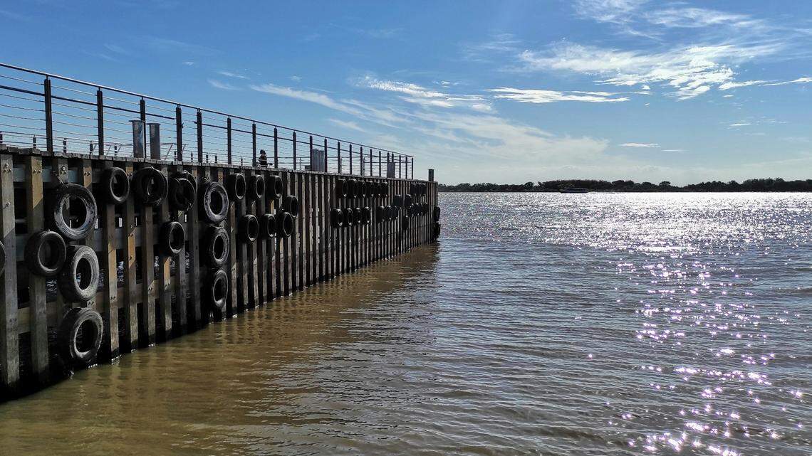Where a muddy river meets the Atlantic Ocean in Brazil, a new species hides in the sediment.