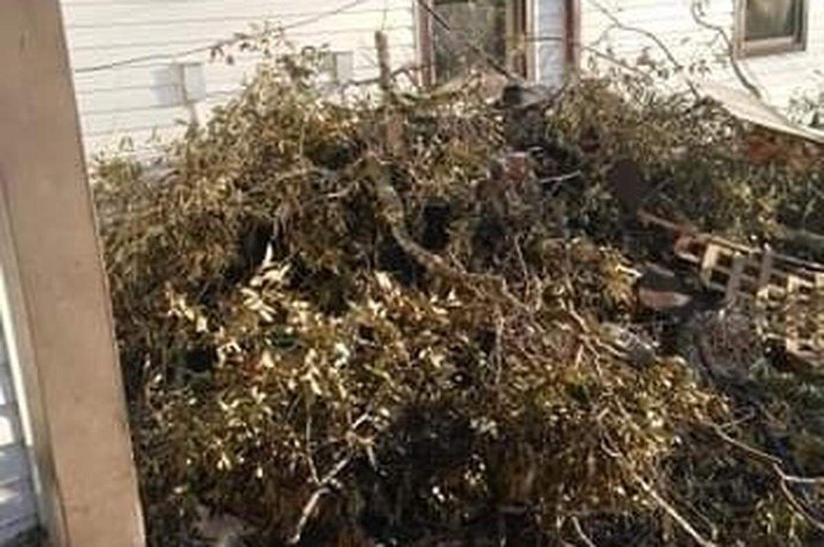 USF sophomore Christion Gainer’s home suffered major damages due to Hurricane Michael two weeks ago.
