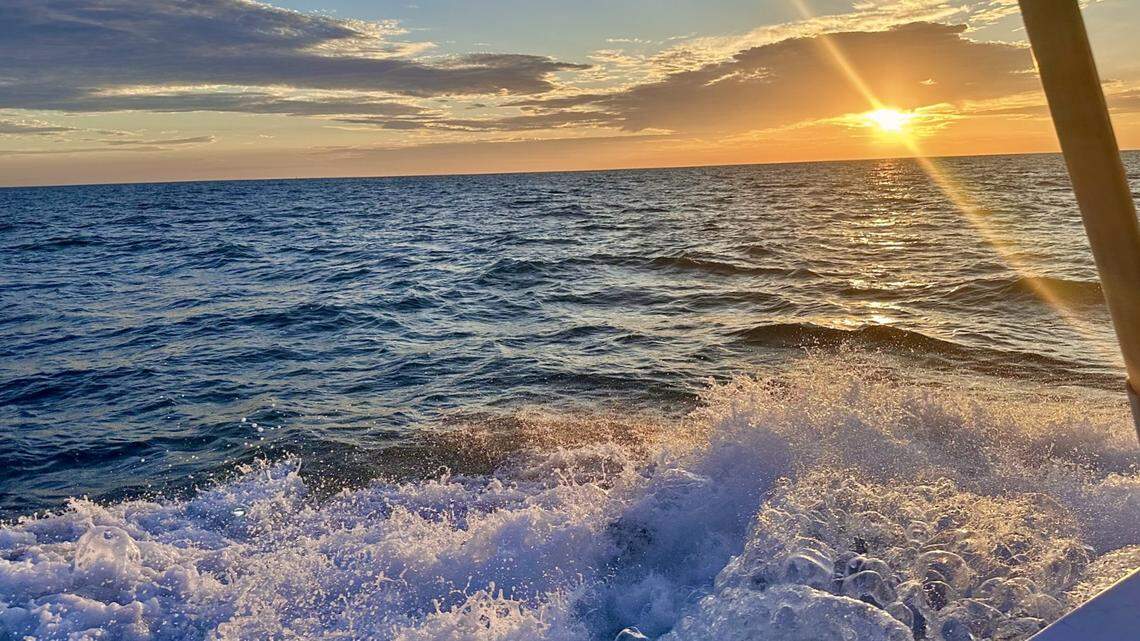 The diver who died was identified as Mollie Ghiz-Flynn and the incident happened in 2020 at the popular “Breakers Reef” site, off Palm Beach Inlet, according to a news release.