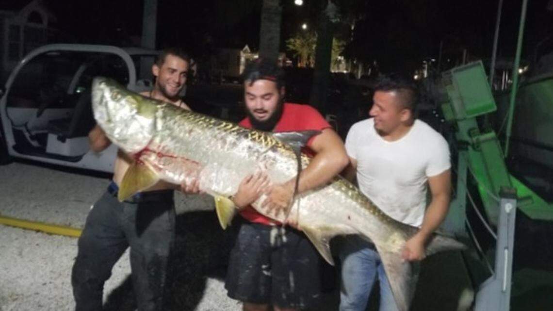 Florida Fish and Wildlife investigators are trying to identify three men who were seen in a photo holding a dead Tarpon at the Calusa Campground in Key Largo March 15.
