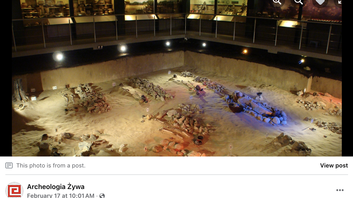 A museum has been built around the ancient Bronze and Iron Age cemetery where iron from space was discovered.