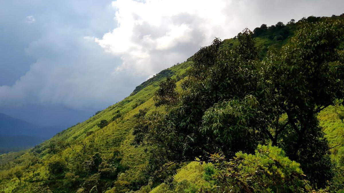 Scientists looked in underground burrows and discovered a new species of animal, a study said. Photo shows representative area of Karnataka.