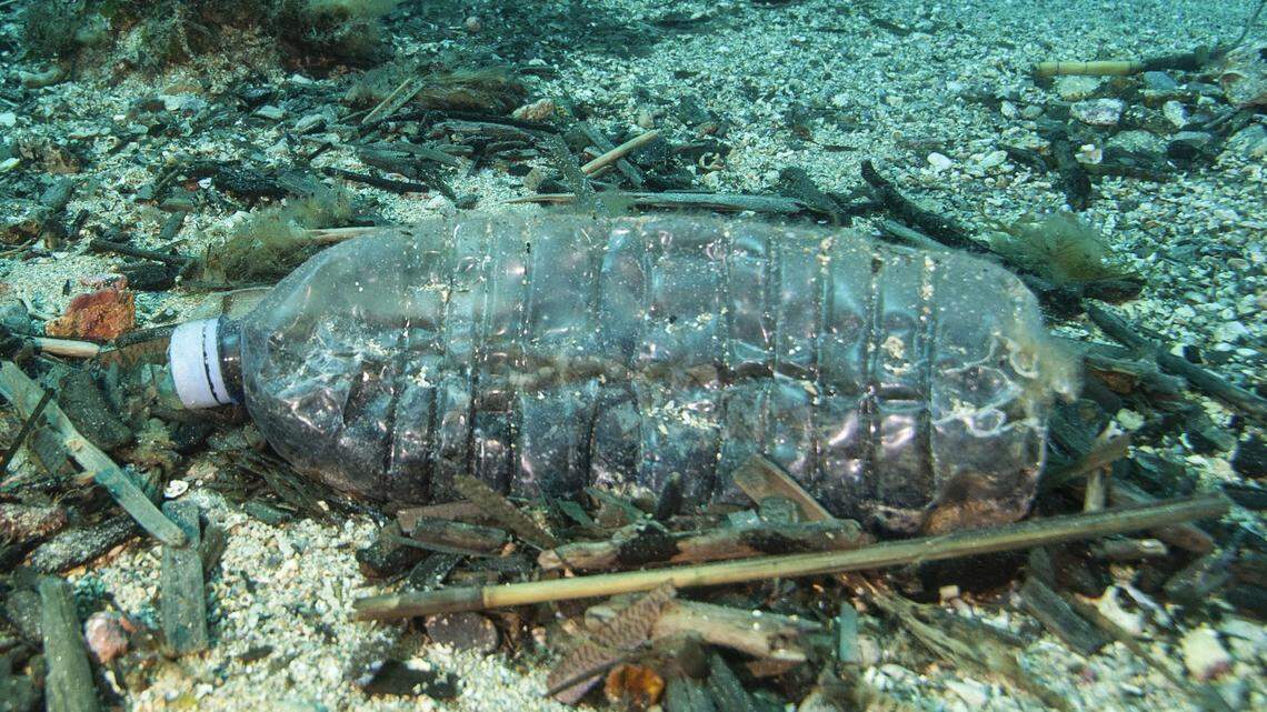 plastic waste pollution deep sea