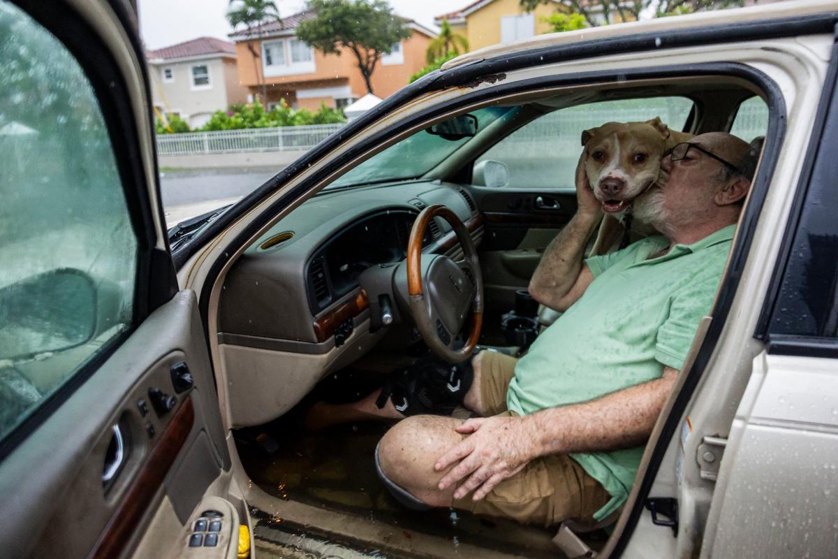 Mike Viesel kisses his dog, Humi, as they wait in their flooded Lincoln Continental for a tow truck after their car stalled out on Taft Street in Hollywood, due to heavy rain flooding the neighborhood in June 2024.