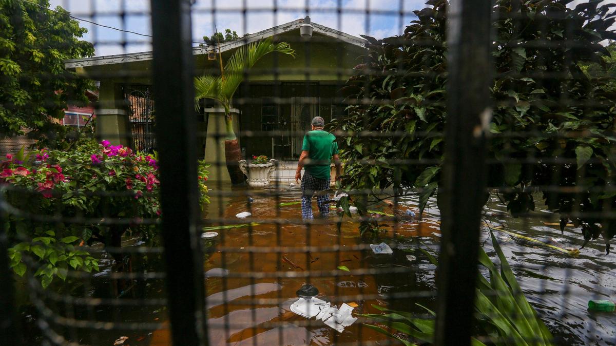 Property insurers paused underwriting new residential deals ahead of Hurricane Ian approaching Florida. A man, above, walks on the flooded porch of a home in Miami’s Little Havana in June 2022.
