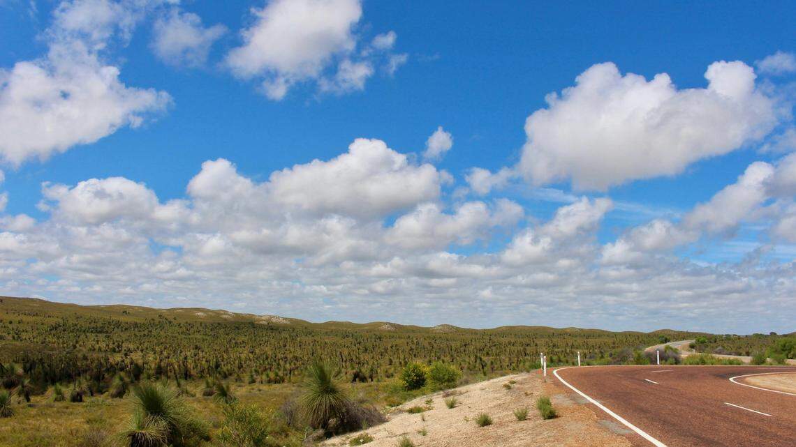 In the remote and arid region of Western Australia, a wildlife photographer spotted a rare animal behavior.