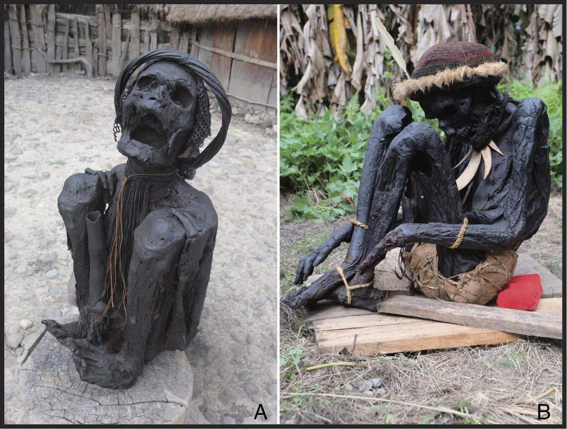 The mummification process of smoking is still used in indigenous communities in Papua.