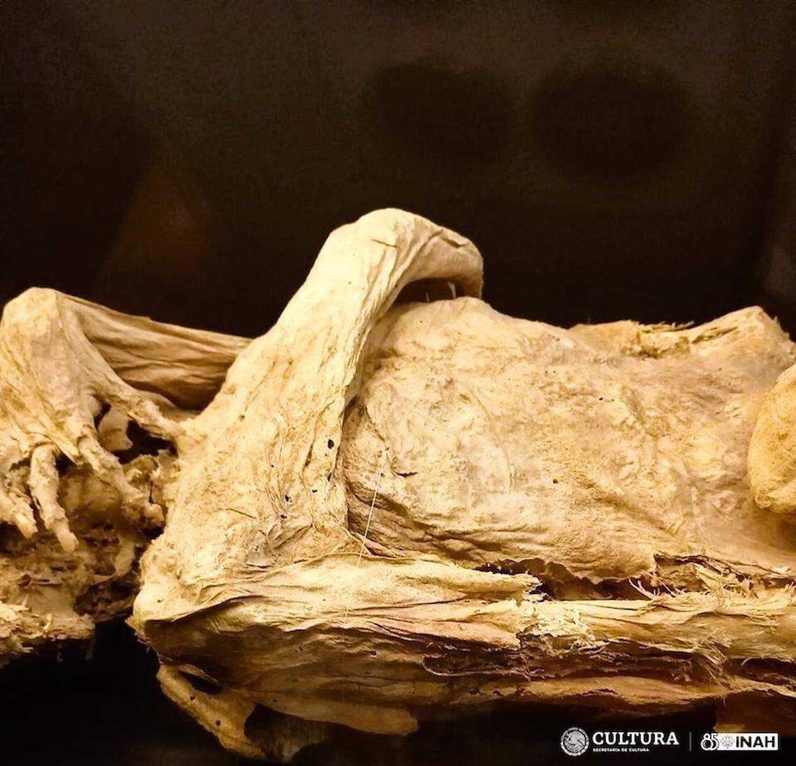 The mummies have experienced damage over time as officials say they have been mishandled.