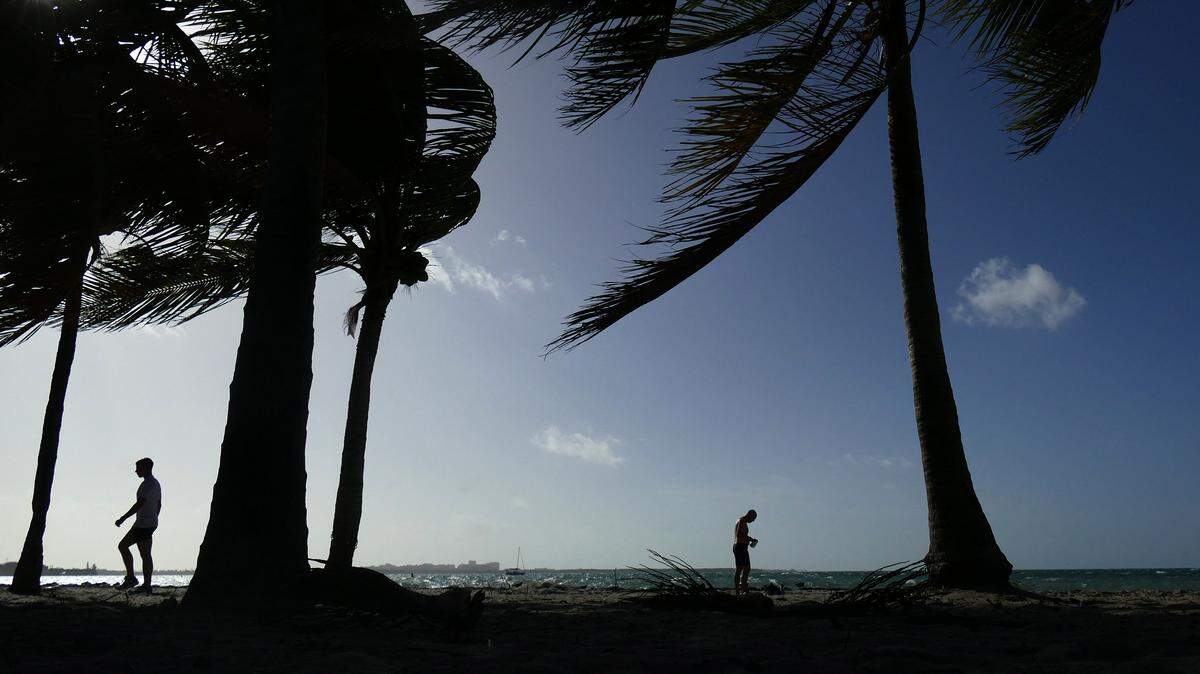 A recent windy day on Virginia Key on Dec. 21, 2018 as part of a recent cold front. The cold front coming Jan. 5, 2019, won’t bring such high winds, just lows in the 60s but rip tides, too.