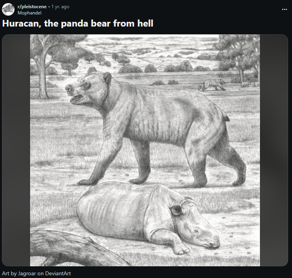 The new species belonged to a group called Huracan bears.