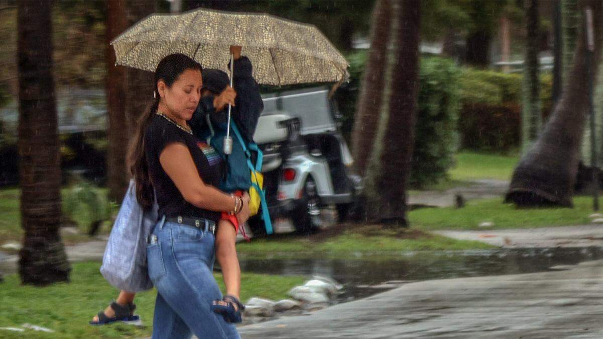 A pedestrian picks up and her son and finds shelter underneath an umbrella while crossing the street in Key Biscayne, Florida on Sunday, February 4, 2024.  

Stray showers, and cooler weather is expected through Monday with the possibility of thunderstorms in the Miami-Dade area.