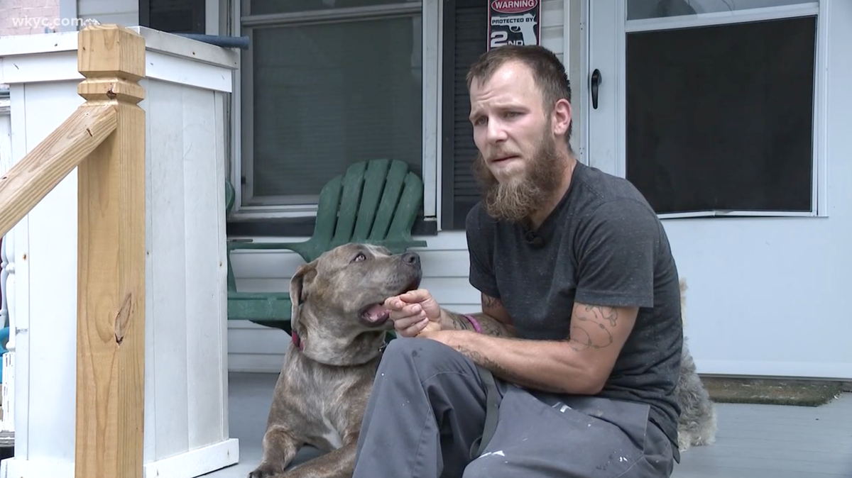 Richard Hill said he smashed the window of a car outside of Walmart to let out two dogs, which he thought needed rescuing on July 28 in Parma, Ohio. Police say they cited him for criminal damage, and not the dog’s owner.