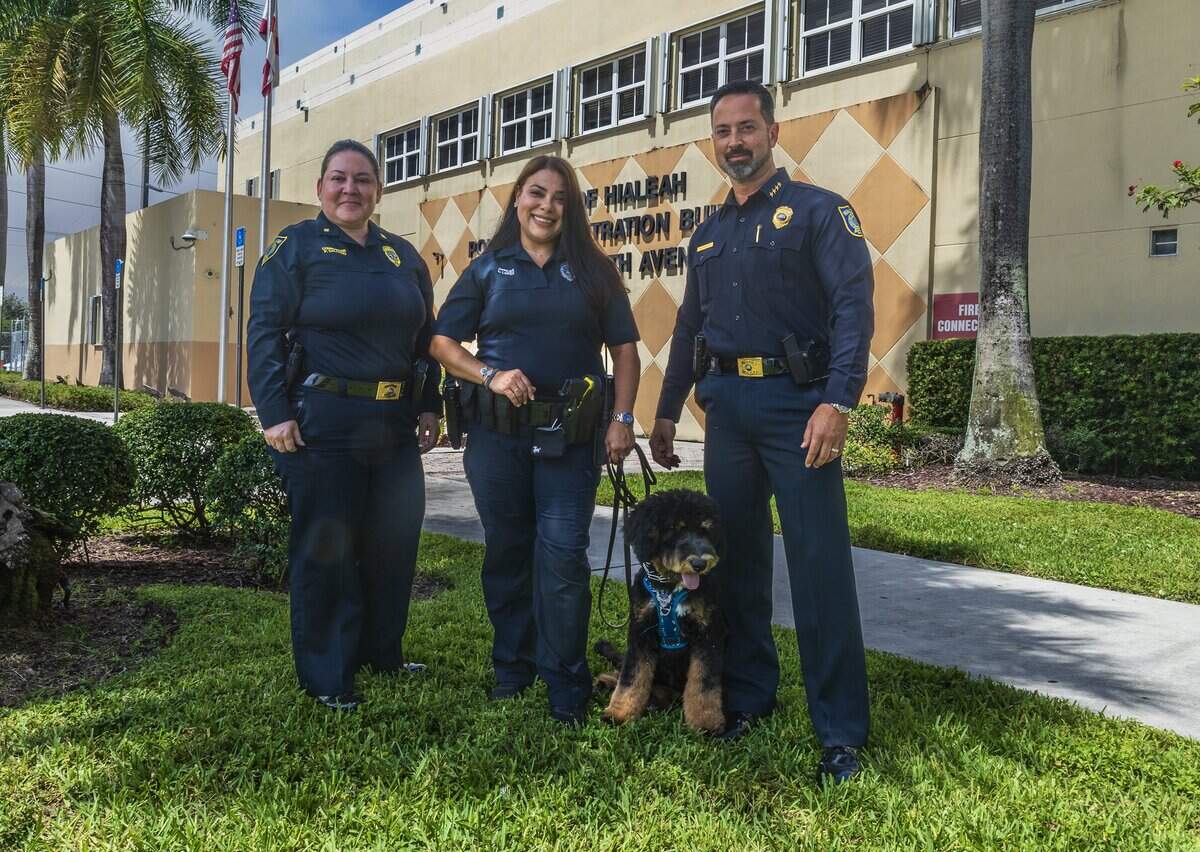 La comandante del Departamento de Policía de Hialeah, Patricia Salgado (en el extremo izquierdo), y el jefe de policía George Fuente posaron junto a la oficial Lucicarmen López y Dominó, el perro de terapia oficial de la Policía de Hialeah, en la sede policial de Hialeah el martes 16 de junio de 2026.