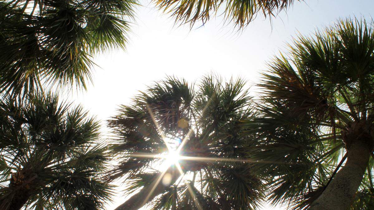 Extreme heat is here to stay, and experts say we should prepare for a worsening situation.