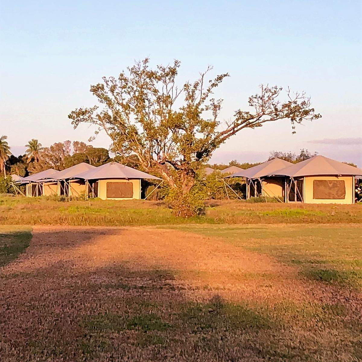 Flamingo Adventures’ eco-tent campground at Everglades National Park bills itself as accommodations where “stunning nature meets modern comfort.”