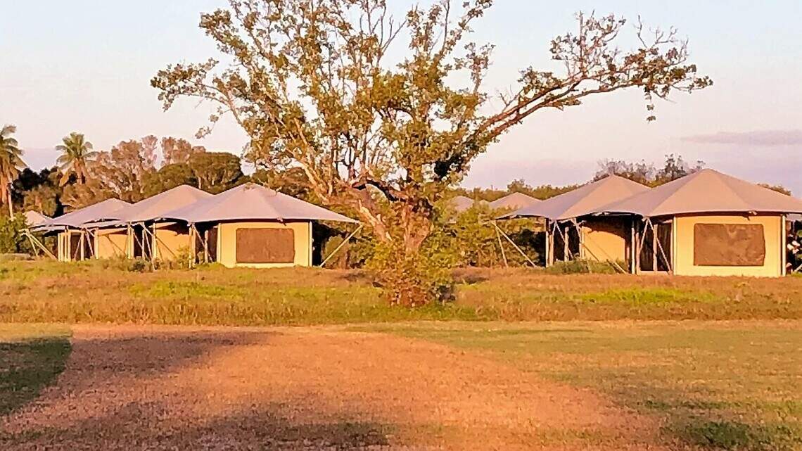 For a treat in troubled times, really experience the Florida Everglades — glamping! | Opinion