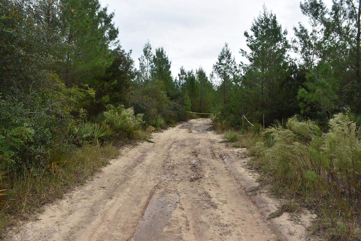 The body was found off a dirt road near Umatilla in the Ocala National Forest, according to the Marion County Sheriff’s office.