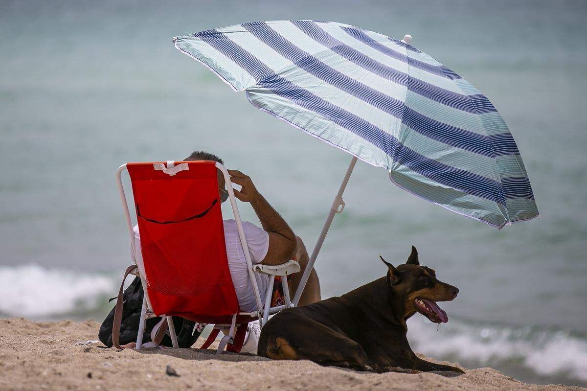 Miami set Sunday a high temperature record that had held for 82 years, but cooler days are ahead for South Florida, according to the National Weather Service. Excessive panting is one sign that your dog may be having discomfort from the heat, vets say.