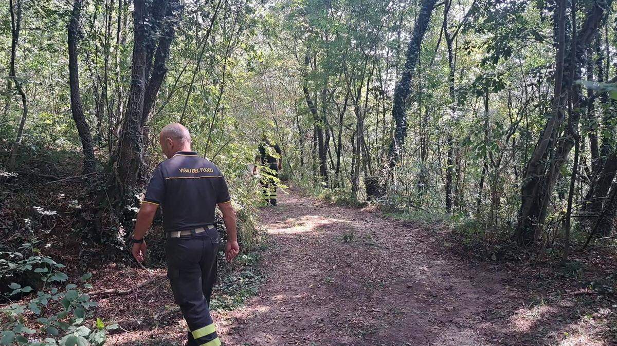 Bomberos italianos buscan en un área boscosa en la provincia de Vicenza en el norte de Italia el 21 de agosto de 2024. Ellos, junto con intestigadores de España, Italia y el FBI, buscan el cadáver de Ana Knezevich Henao, la mujer de Fort Lauderdale que se reportó desaparecida a princpios de febrero en Italia y su cuerpo no ha sido encontrado. Il Giornale di Vicenza