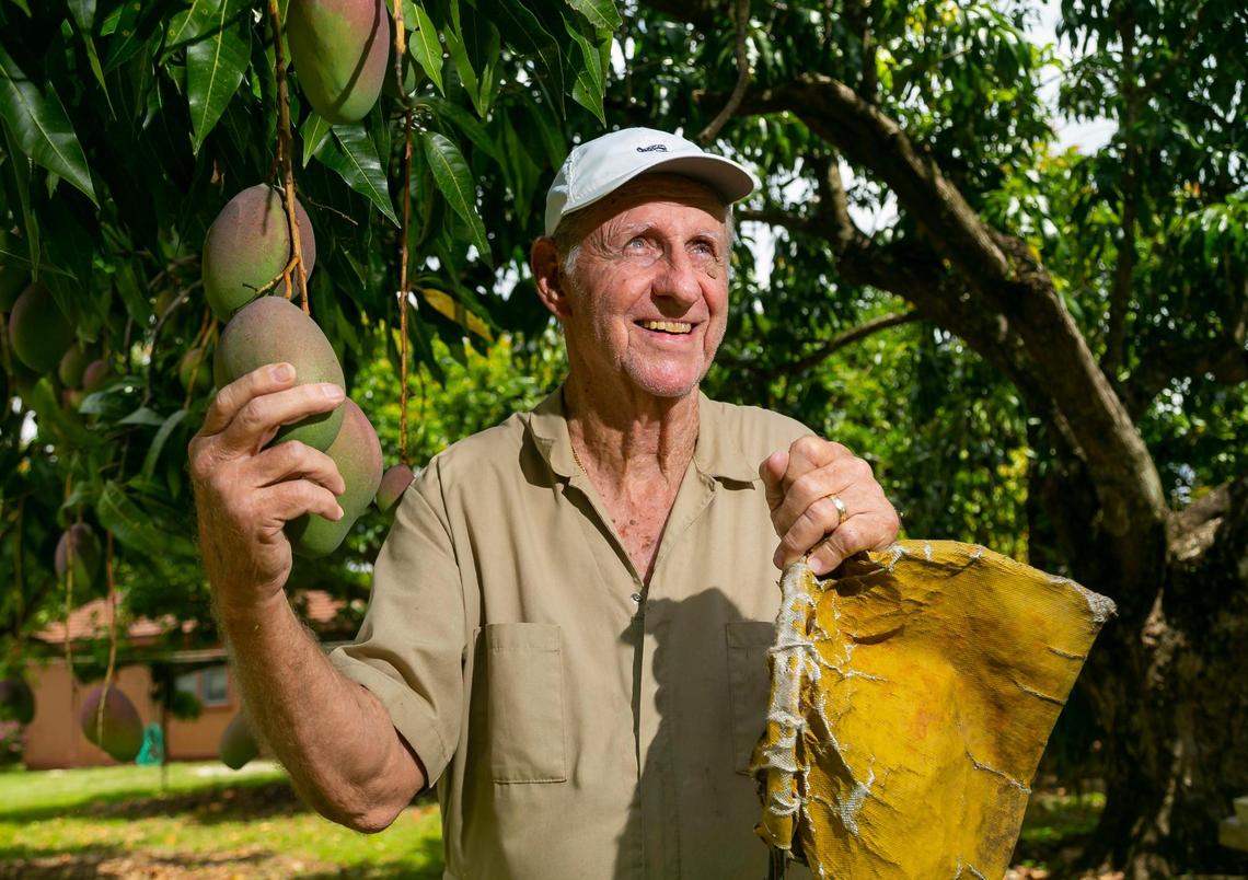 Sidney Robinson, a third generation farmer and owner of Sandy Acre Avocado-Mango Farms, at his farm in Miami’s Redland neighborhood on Saturday, May 15, 2021.