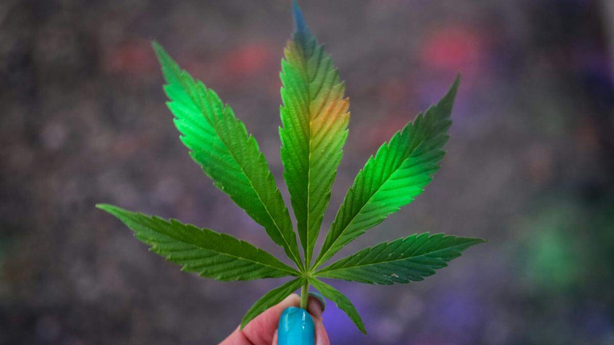 Marijuana reclassification “gives us hope,” a doctor told McClatchy News.