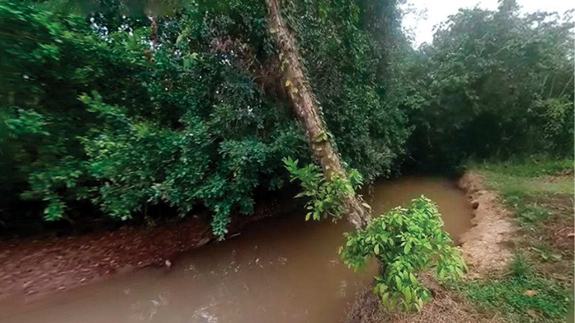 “Surprised” scientists surveying Amazon discover new animal species of with “groins of fire,” study said.