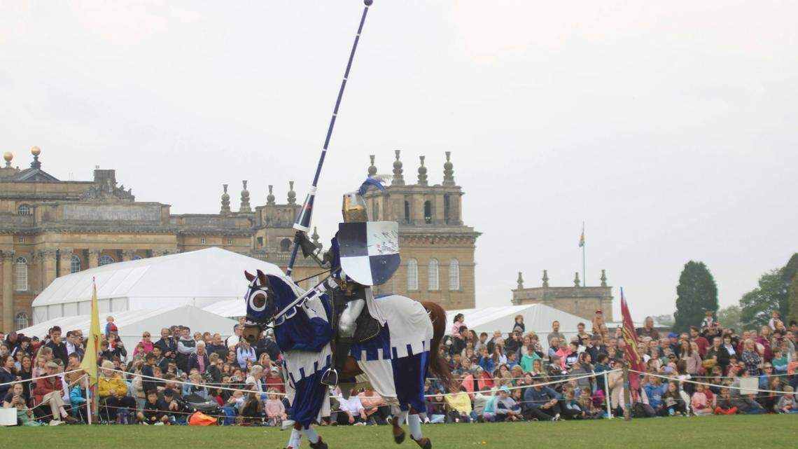 Horses found buried near Buckingham Palace were likely once used by elite families, or even royals, for jousting, a new study says.