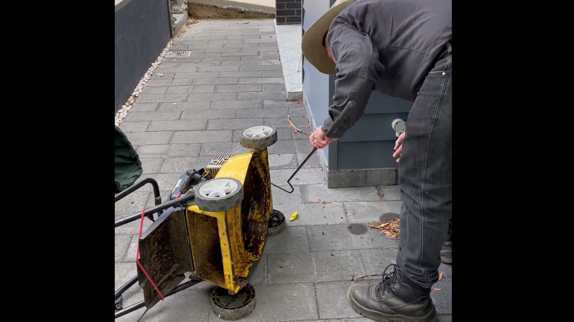 A potentially deadly animal was found under a mower at an Australian home.