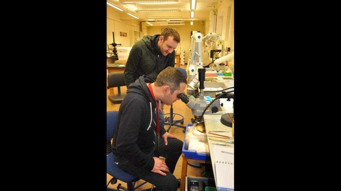David Moss and Tom Taylor discovered the hoards of ancient coins with their metal detectors, according to museum officials.