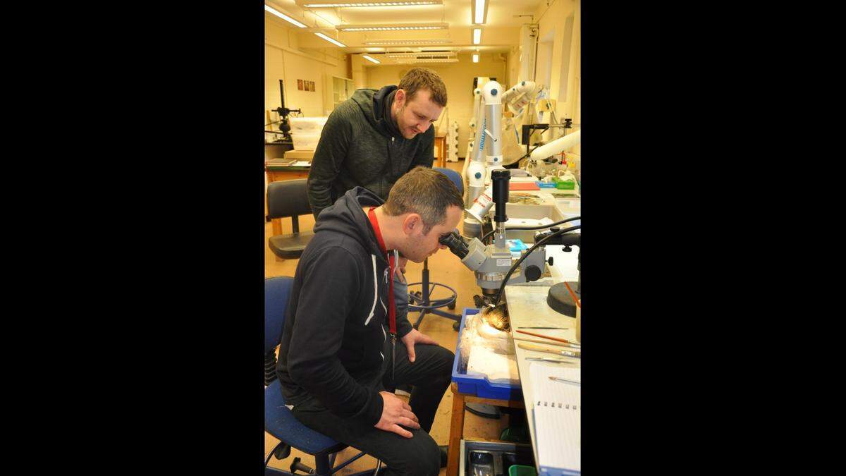 David Moss and Tom Taylor discovered the hoards of ancient coins with their metal detectors, according to museum officials.