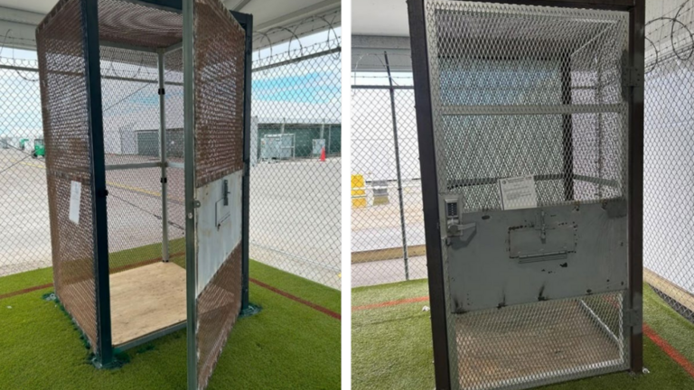 Detainees confined to small metal cages at Alligator Alcatraz, report finds