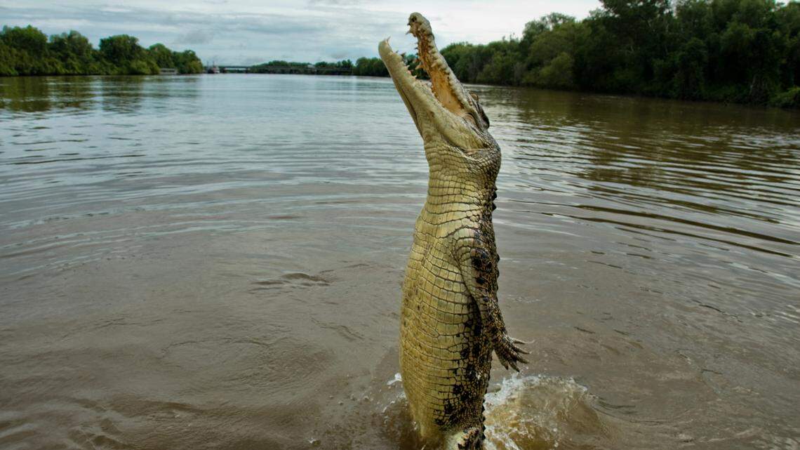 With or without me, Florida will always be wonderfully,  unrelentingly weird | Opinion