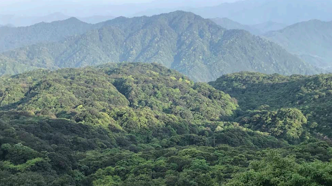 Researchers found a new species while exploring Phia Oac-Phia Den National Park in Vietnam.