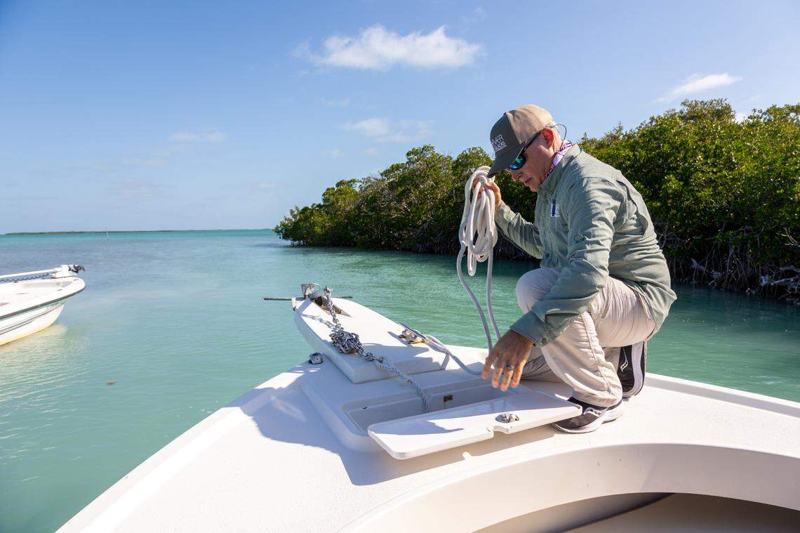 Steve Davis, the Everglades Foundation’s chief science officer, said restoration of the natural water flow through the Glades could help build seagrass resilience for Florida Bay.