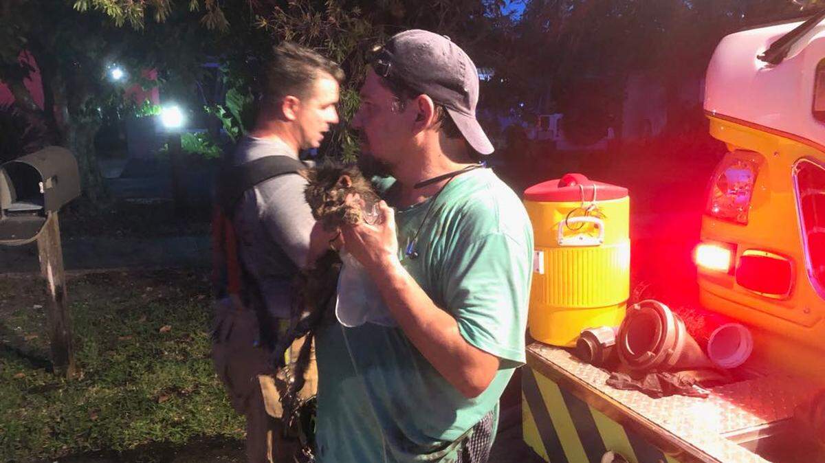 A Miami-Dade Fire Rescue worker takes care of one of the cats rescued from a Sunday night house fire.