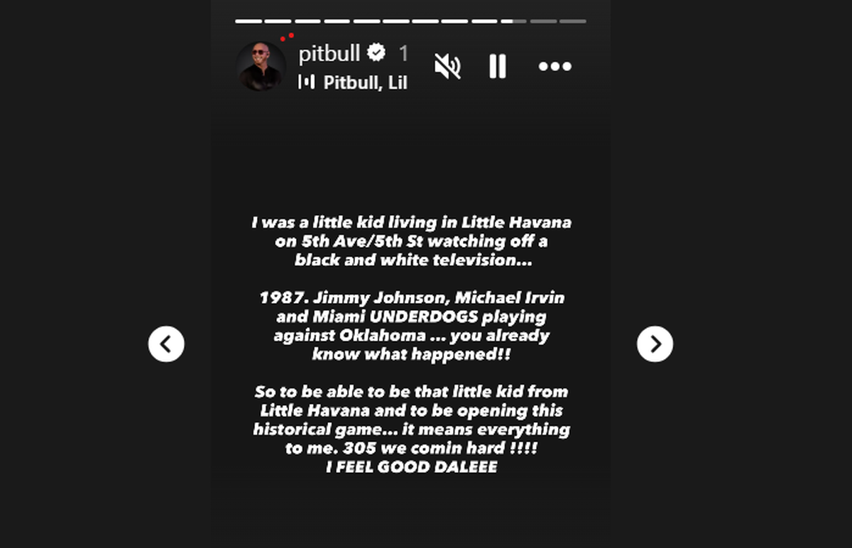 Screengrab of Pitbull’s Instagram Stories