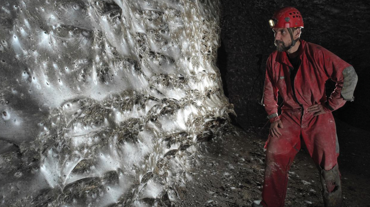 sulfur cave spiderweb