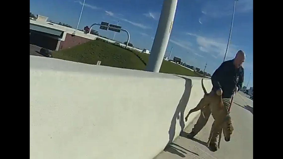 This screengrab shows the moment a Florida animal control officer pulled the terrified dog to safety on Interstate 275 in Tampa.