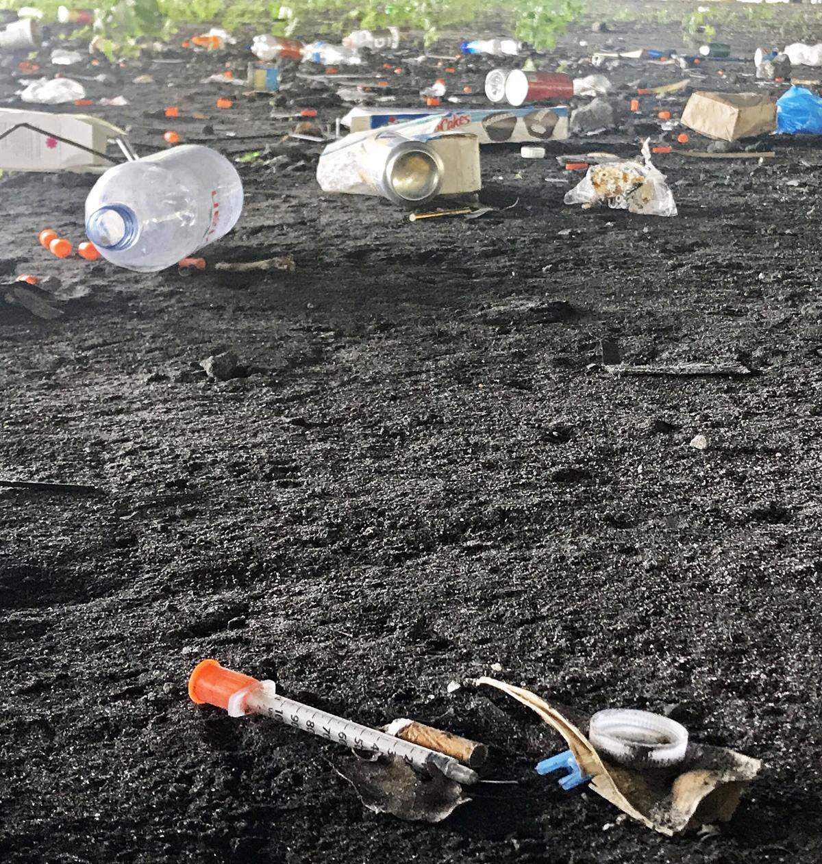 Discarded hypodermic needles are scattered under an 836 overpass in Overtown.
