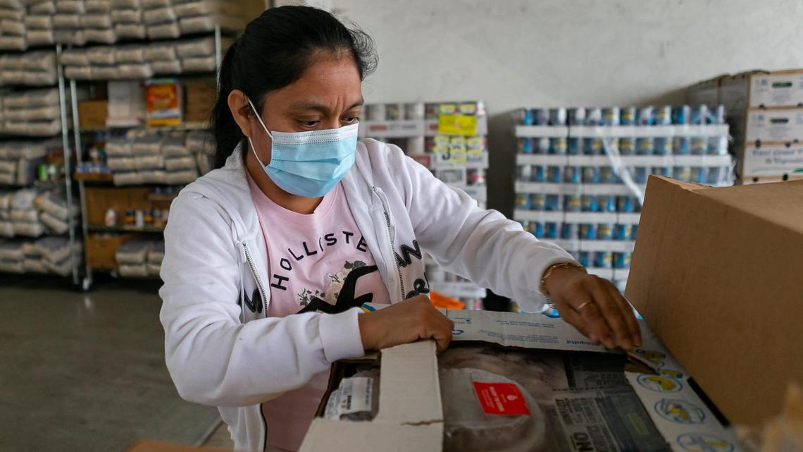 Olga Perez sorts through boxes of produce during a food distribution event for farmworker migrant families at the Guatemalan Maya Center in Lake Worth, Florida on Friday, January 15, 2020.