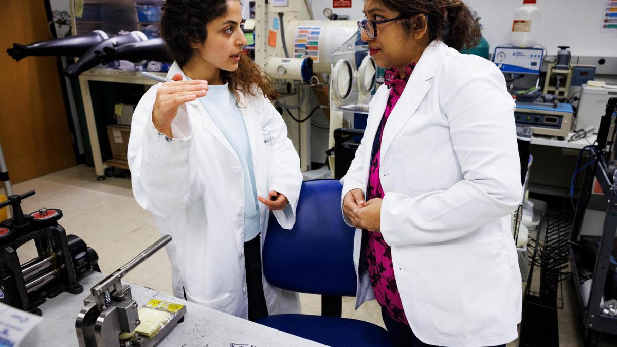 Federal and state governments are in the process of implementing drastic cuts to science research funding.