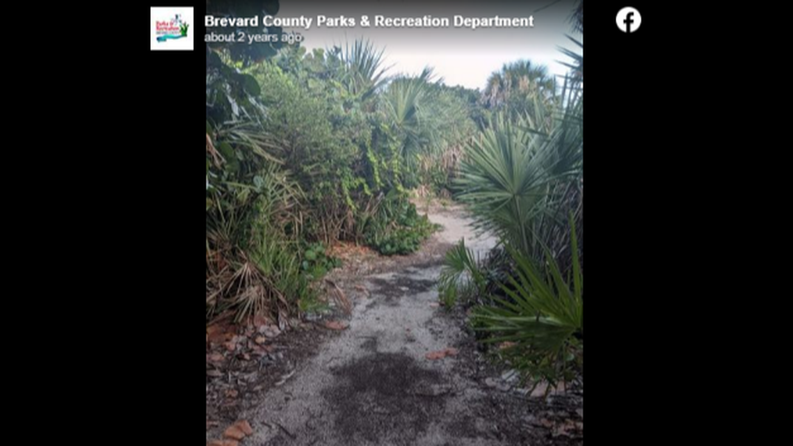 The victim was at a Brevard County park when the suspect “forced the female victim into the woods,” the Brevard County Sheriff’s Office says.