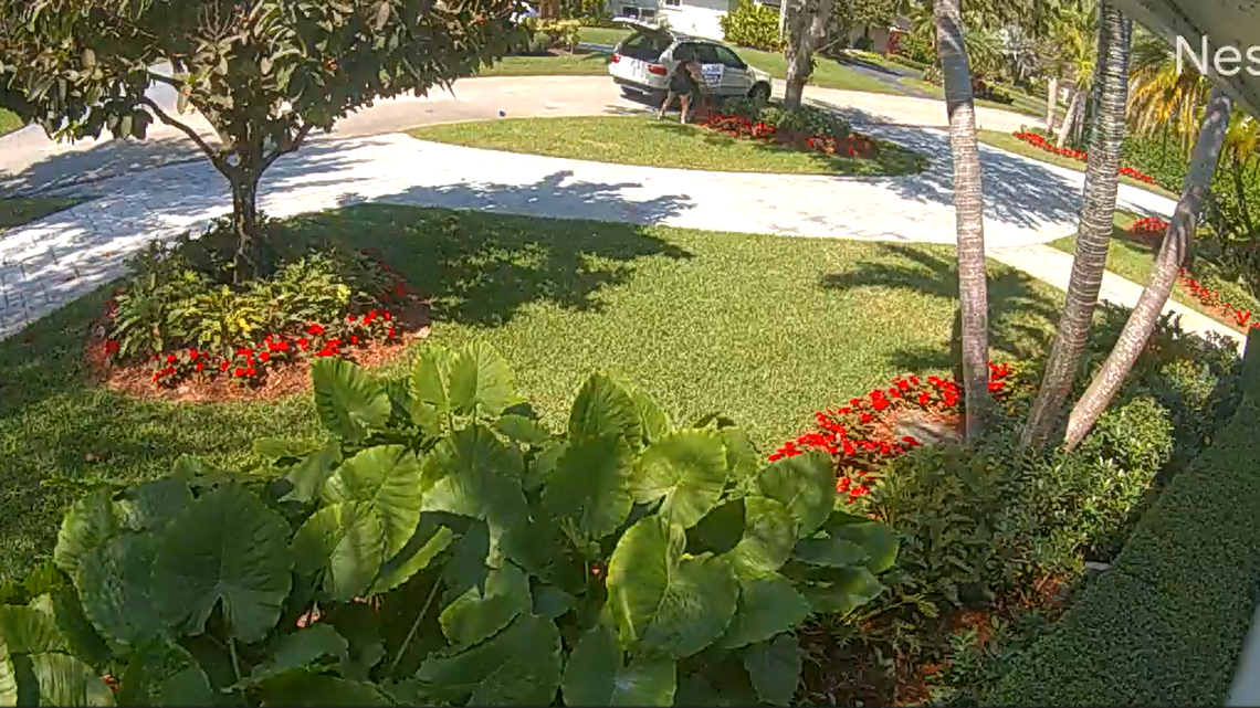 Ring cameras recorded a woman stealing political signs. Pinecrest sleuths want to ID her
